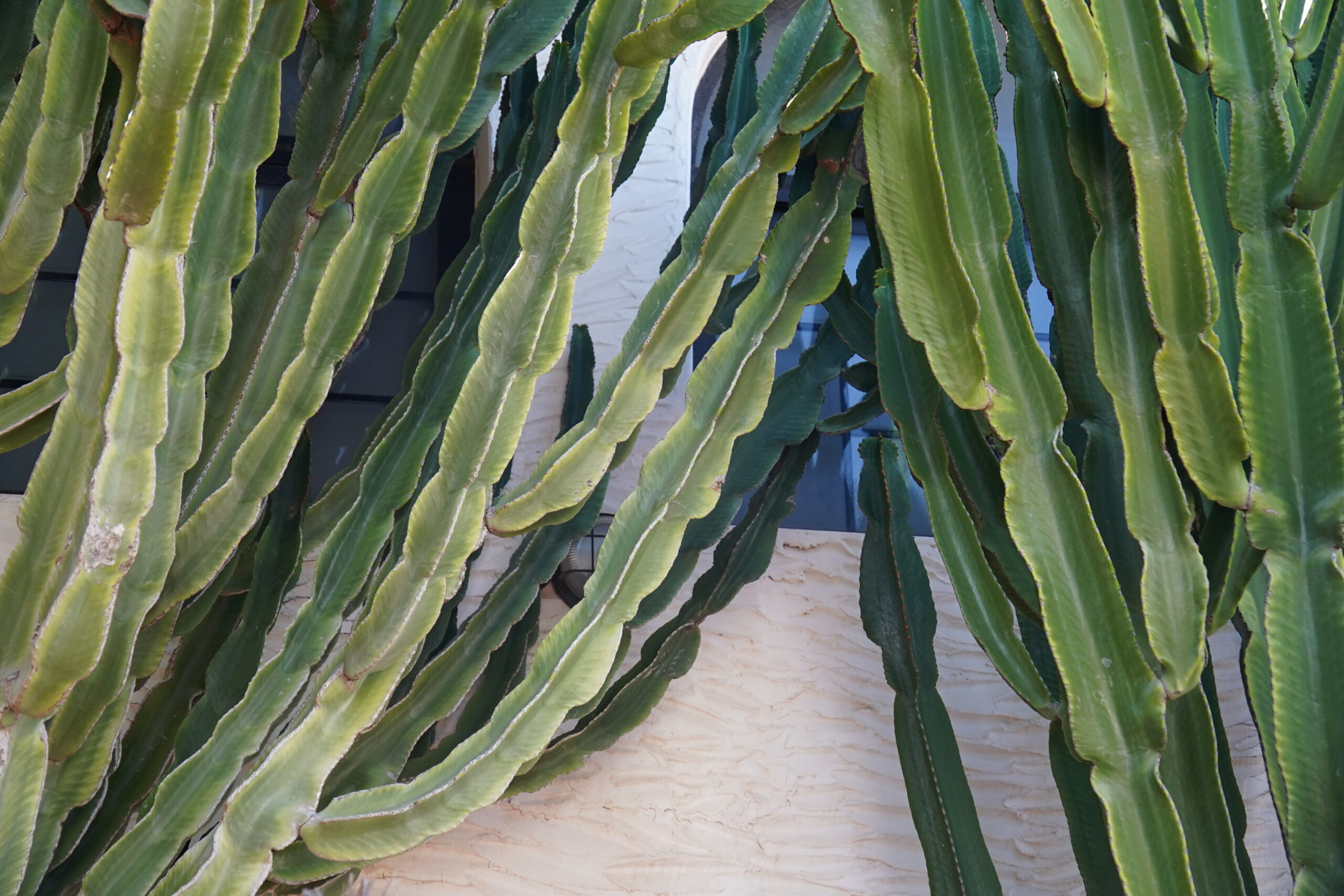 com.apple.foundation.nsitemprovider.7ua8ml